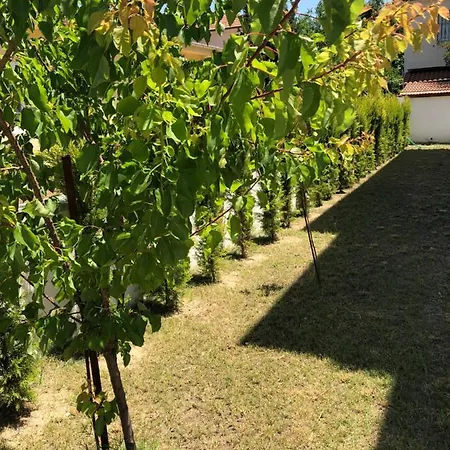 Nesil Muğla